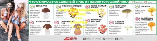 МДПВ Новозыбков