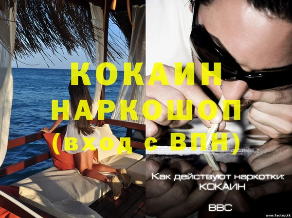 ешки Новокубанск