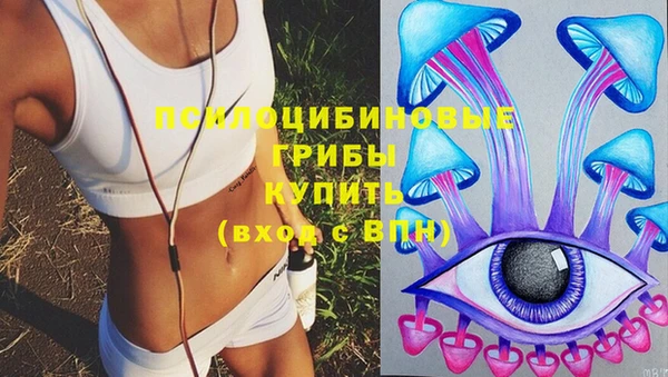 синтетический гашиш Новодвинск